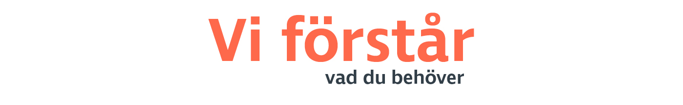 Vi förstår du